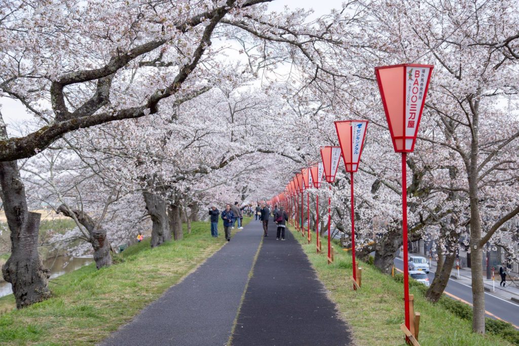 雲南市桜まつり