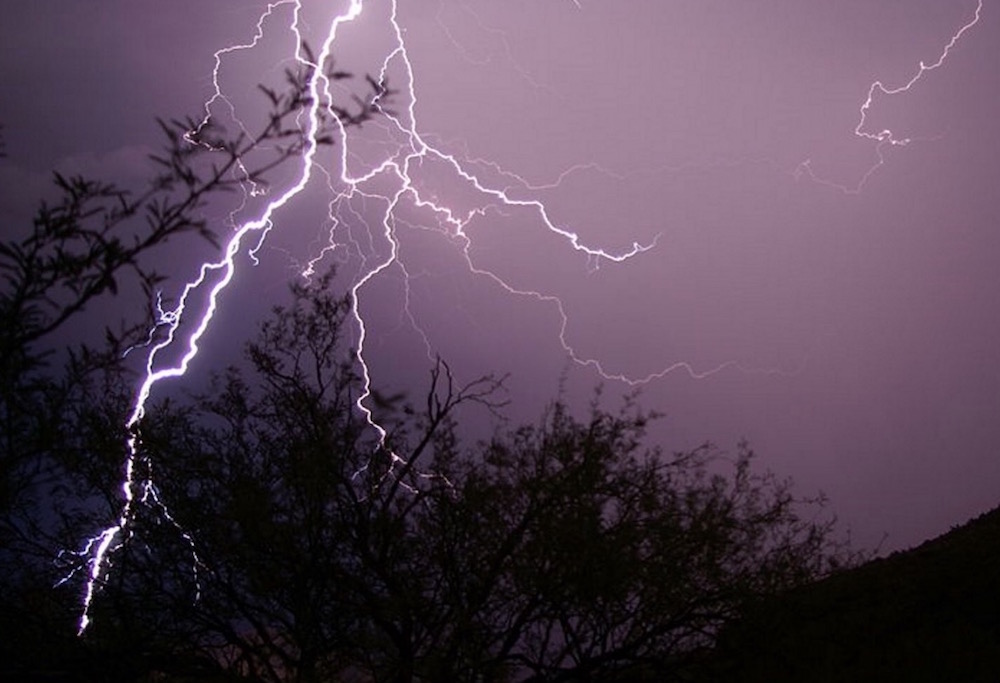 2020年3月5日は啓蟄｜冬眠中の虫たちがうごめき始める