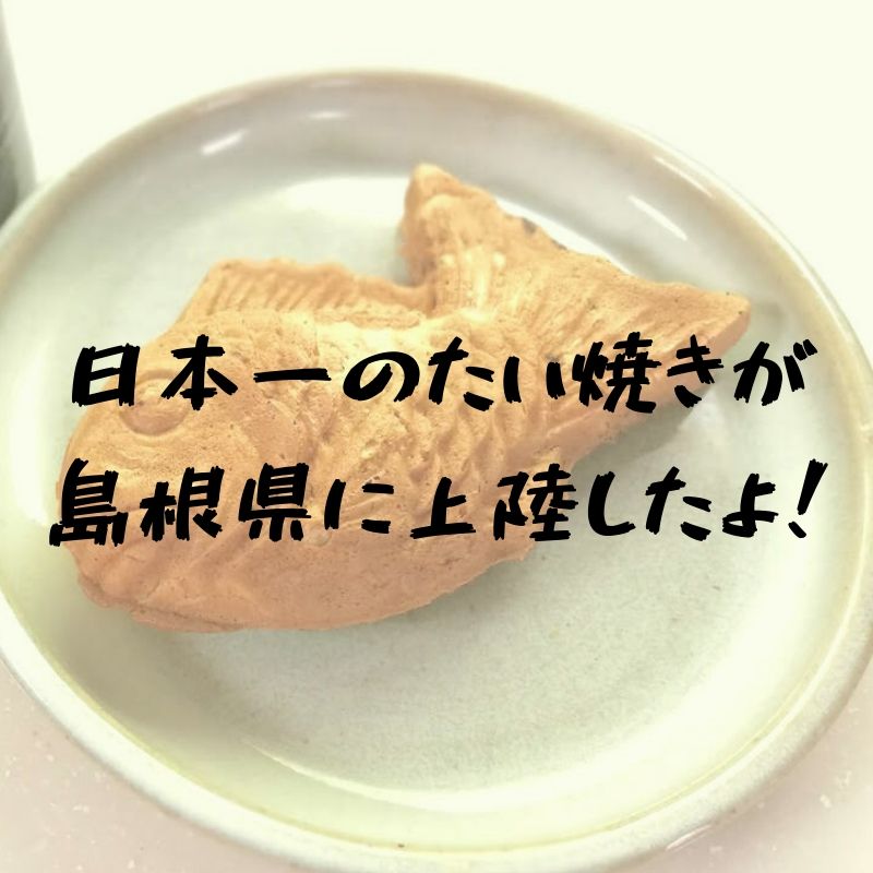 斐川の日本一たい焼島根出雲縁結び店｜あんこにこだわるまさに日本一のたい焼きだった｜松江市宍道町