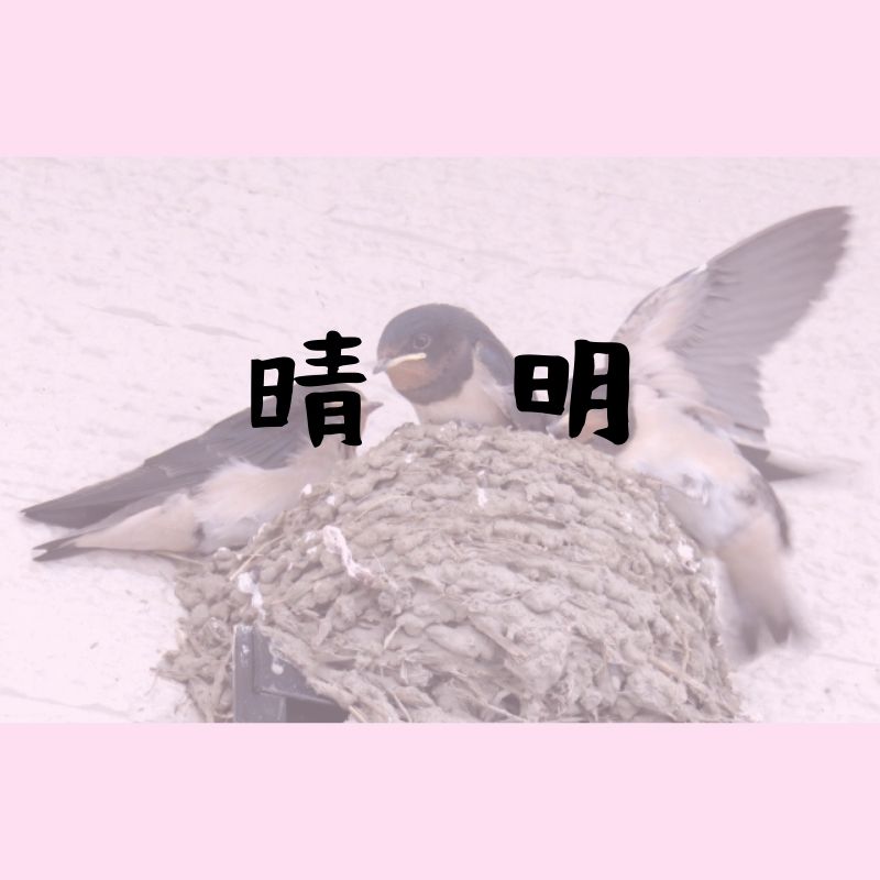 2020年4月4日は清明｜桜が満開を迎え、新年度の活動が始まる時期