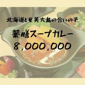 薬膳スープカレー 8,000,000｜北海道と奄美大島の合いの子のカレーが衝撃的｜松江市片原町