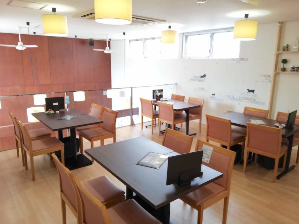 VORTICEでランチしてきた|昼はママさんランチ会 夜はデートにおすすめ|パスタカフェ&ダイニングバー ボルティーチェ(松江市西津田)